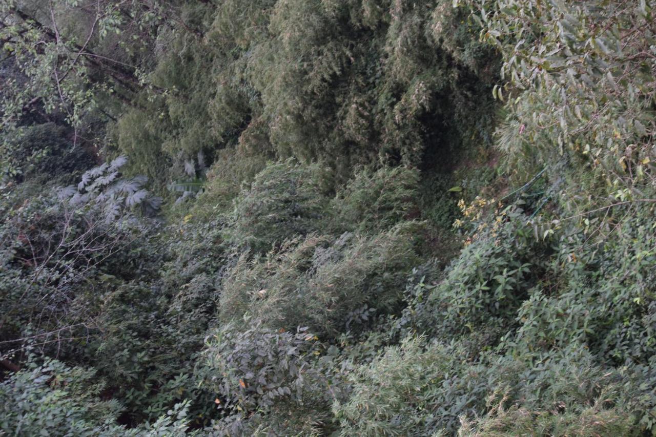 Hotel Wild Thrills Darjeeling (West Bengal)