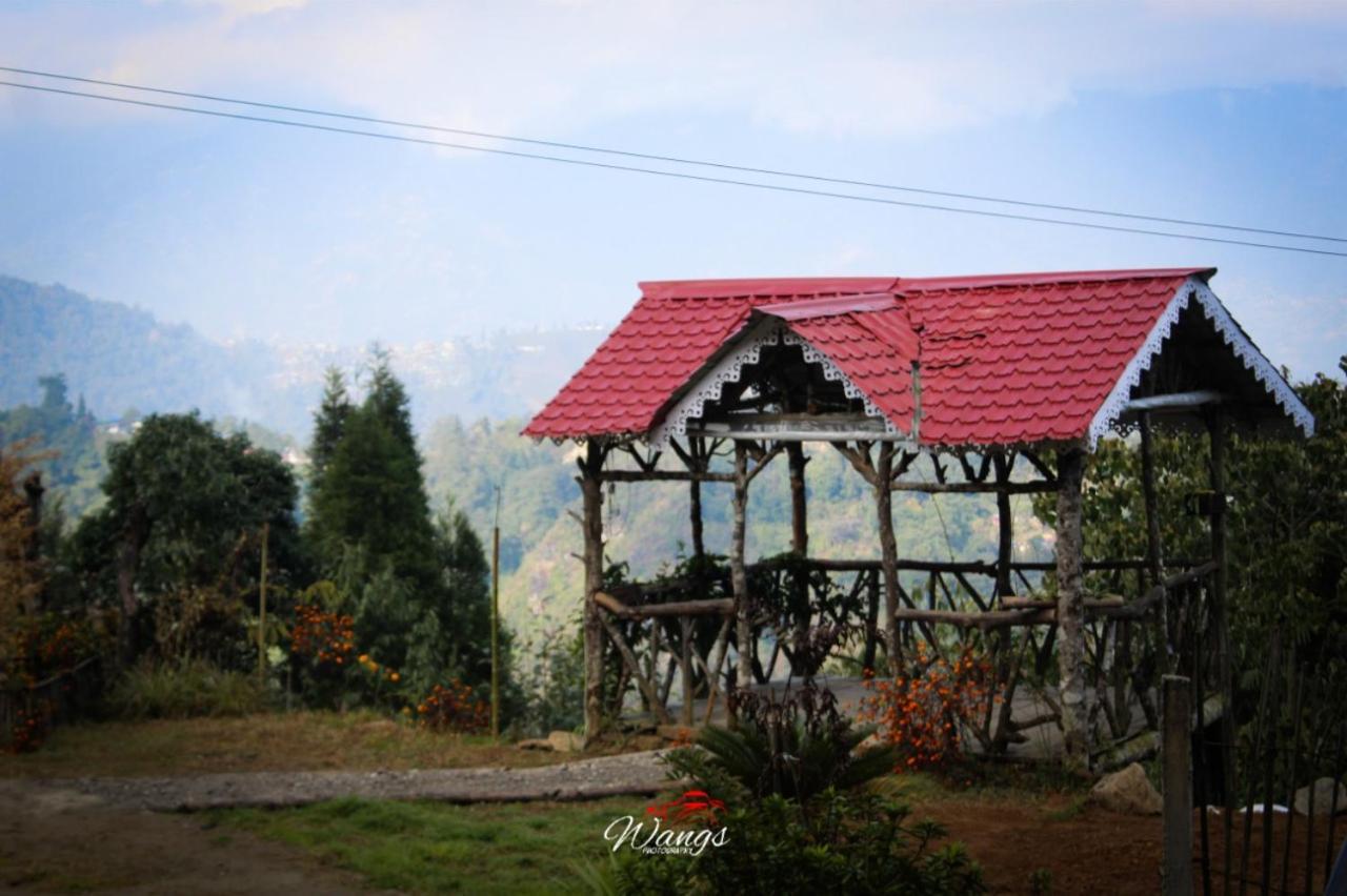 Spring Brooks Darjeeling (West Bengal)
