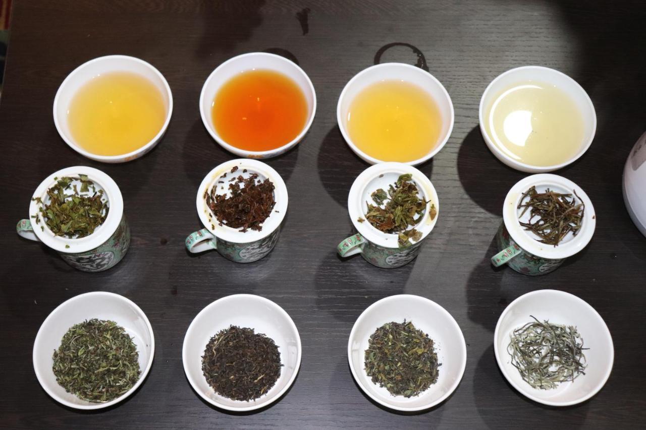 Himawas * Darjeeling (West Bengal)