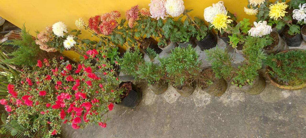 Homestay Vajra Kunj Homestay
