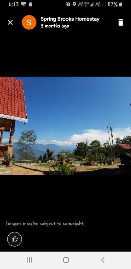 Homestay Spring Brooks