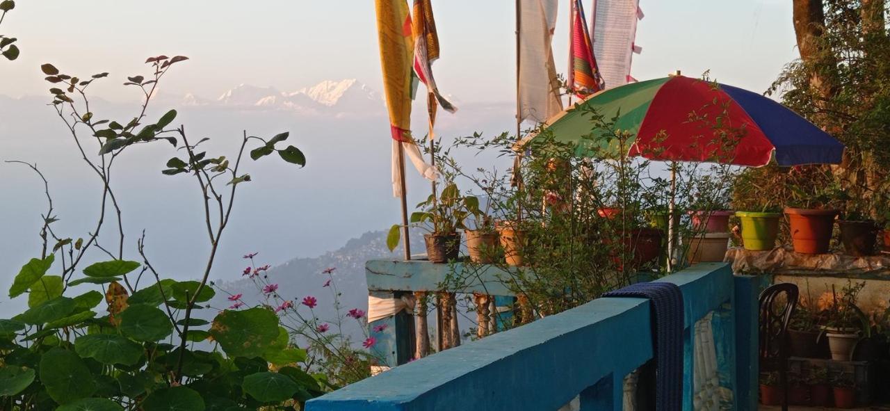 Homestay Blue Horizon