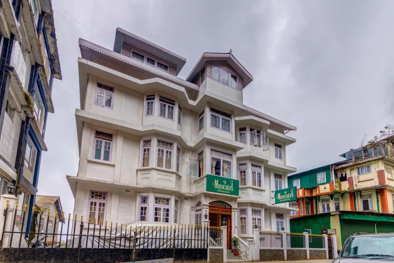 Muscatel Spring Burn - 100 Mts From Mall Road Hotel 3*