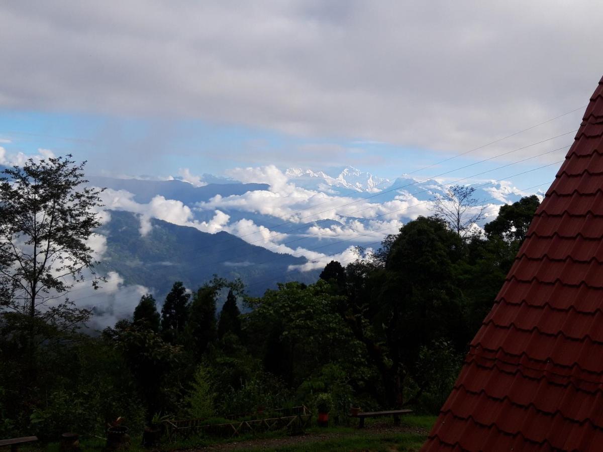 Spring Brooks Darjeeling (West Bengal)