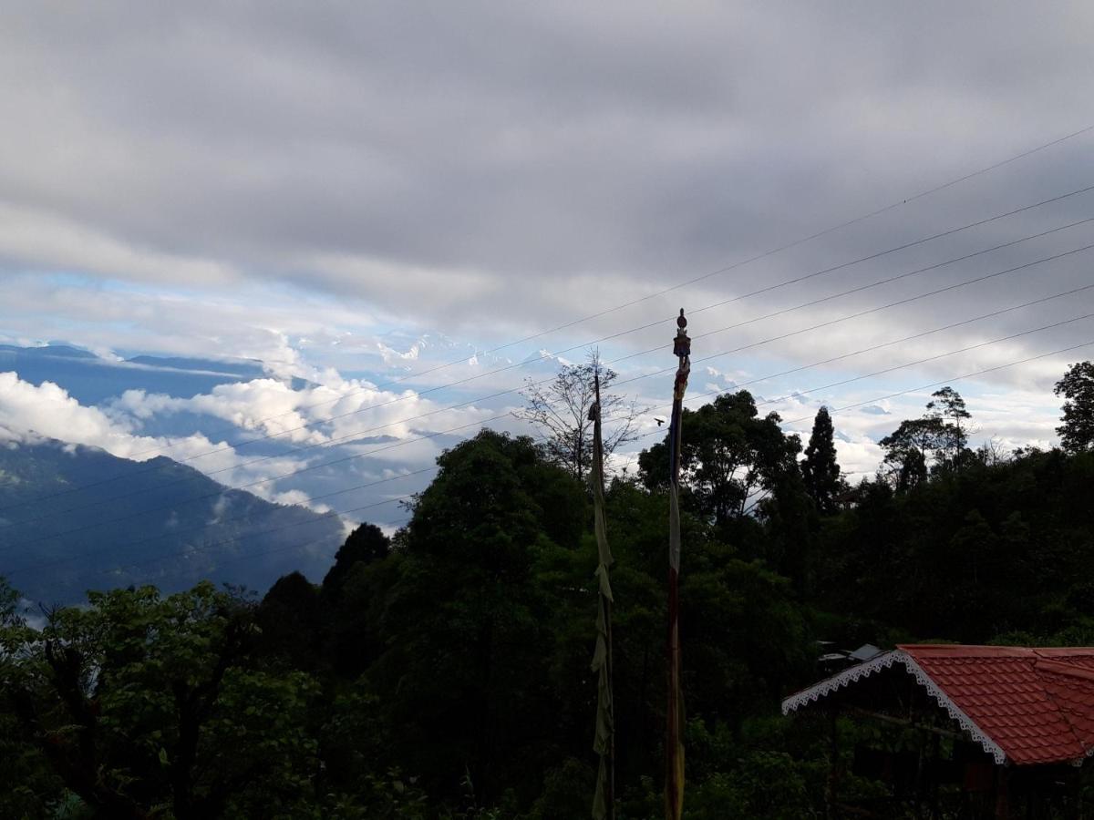 Spring Brooks * Darjeeling (West Bengal)