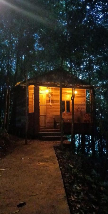 Orion Retreat