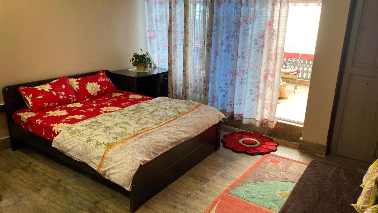Dale View Homestay *