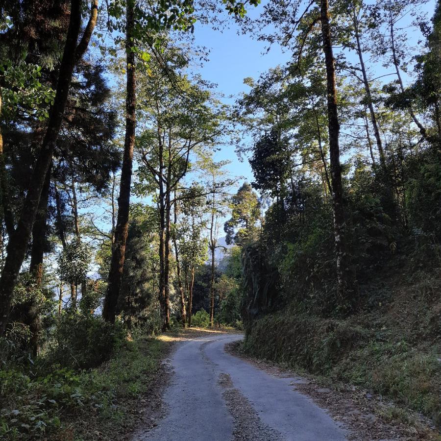Homestay The Swarna Darjeeling (West Bengal)