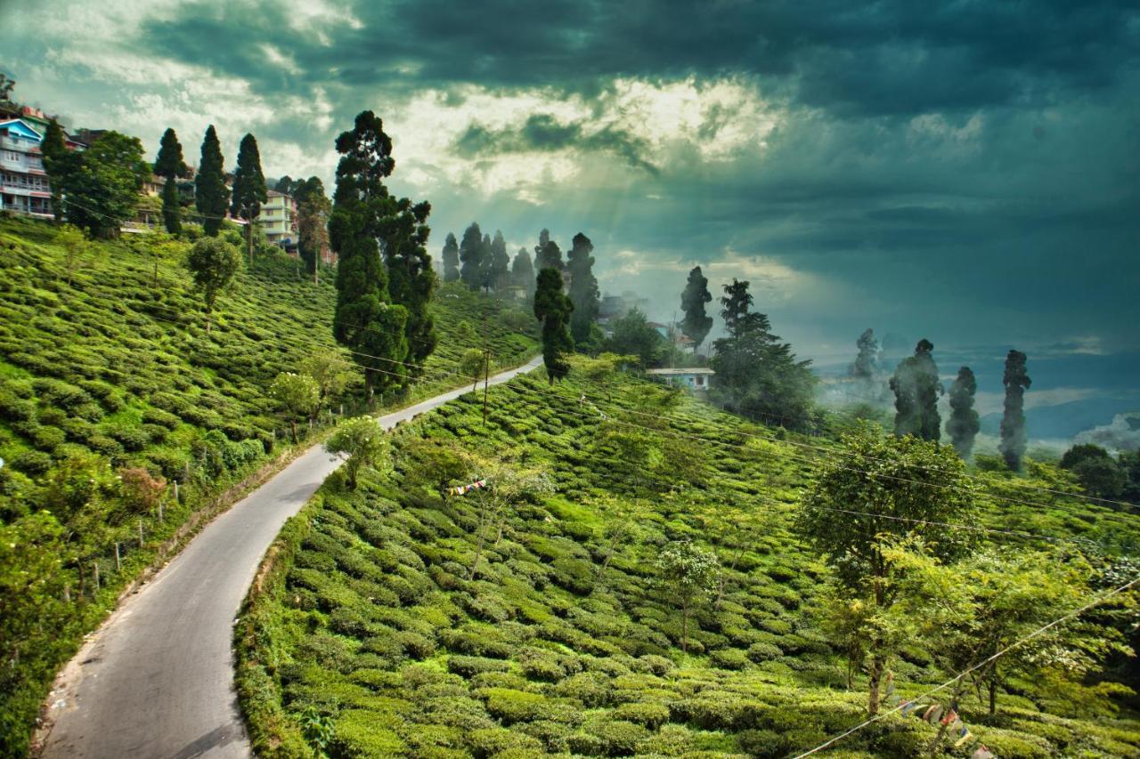 Traditional & Restaurant !! Kurseong !! In Kurseong *
