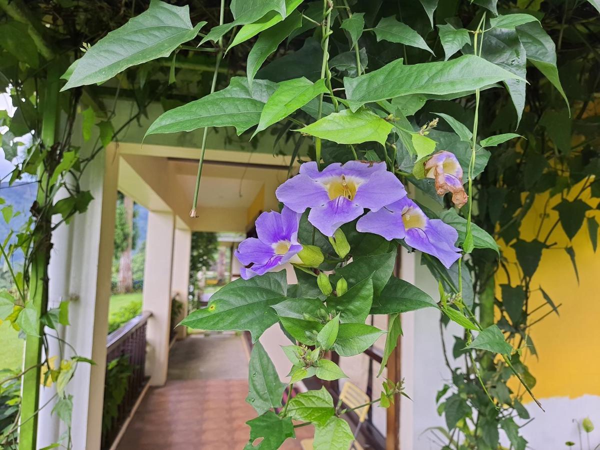 Resort Chamong Chiabari Mountain Retreat Darjeeling (West Bengal)