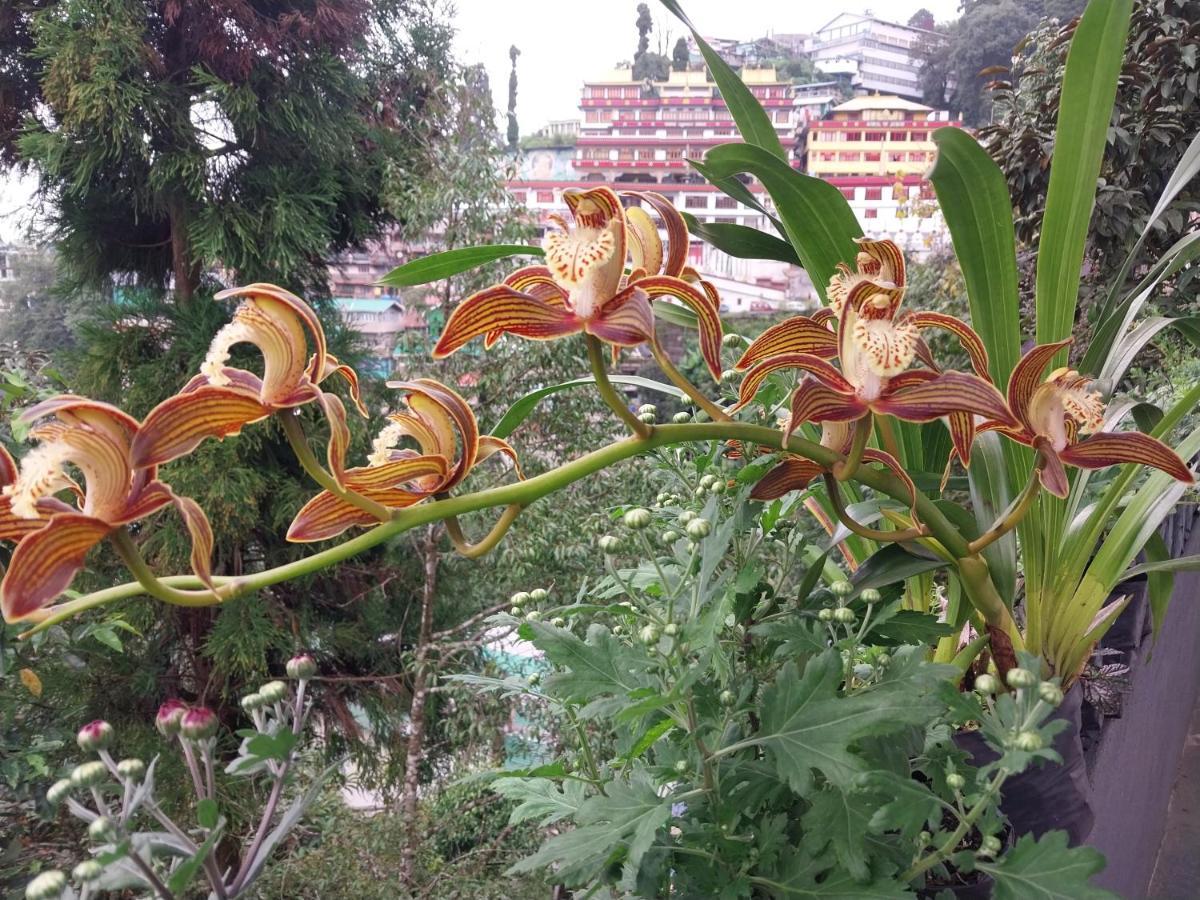 Homestay Sunakhari Darjeeling