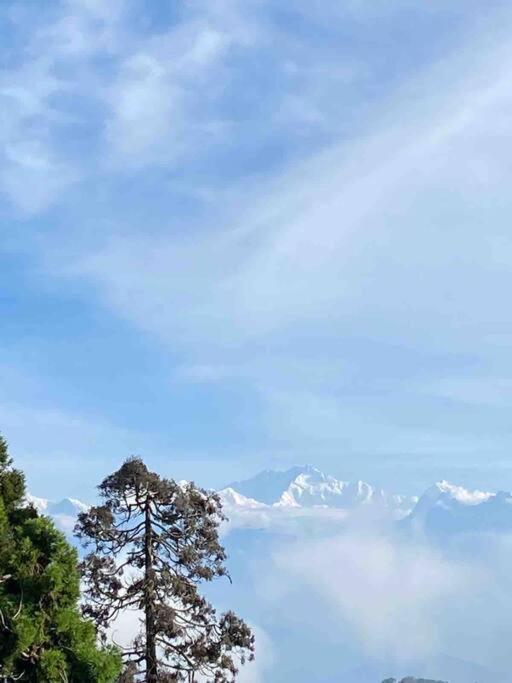 Daphne House Darjeeling (West Bengal)