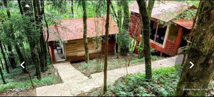 Orion Retreat * Darjeeling (West Bengal)