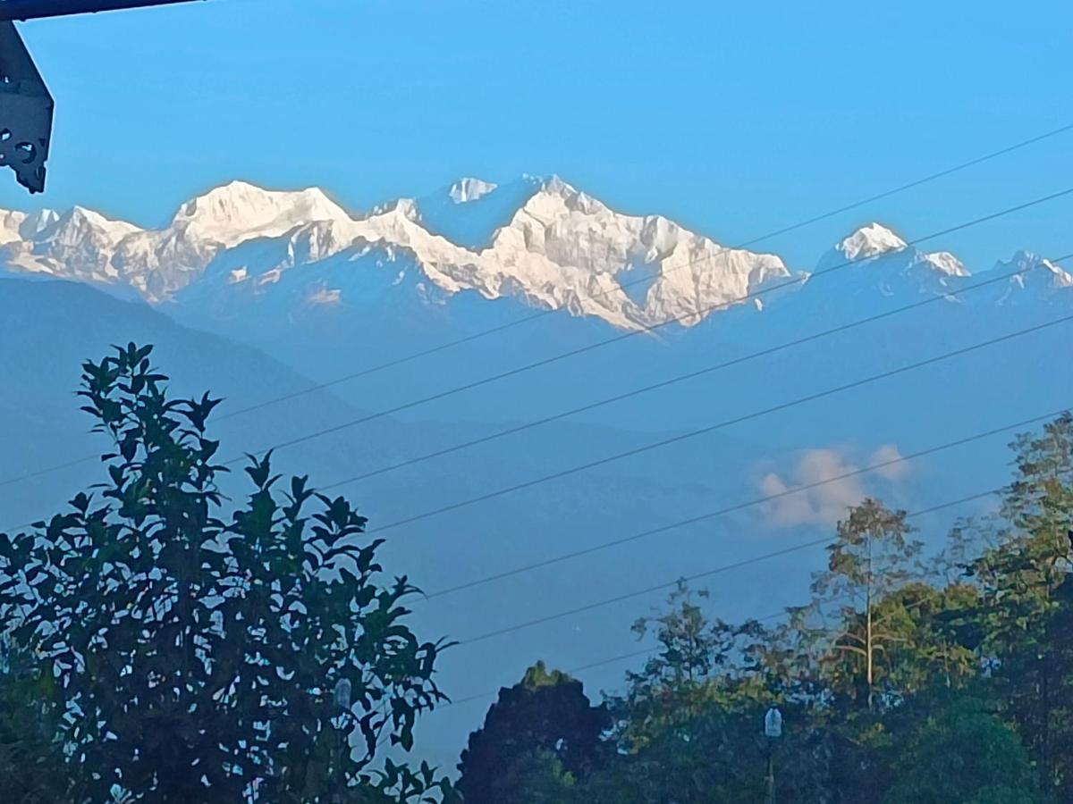Spring Brooks * Darjeeling (West Bengal)