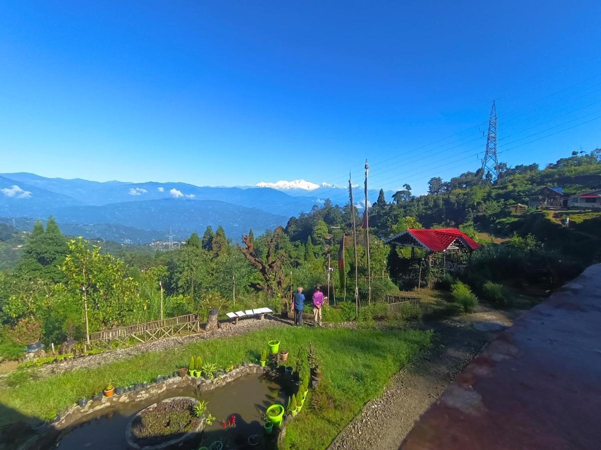 Spring Brooks * Darjeeling (West Bengal)
