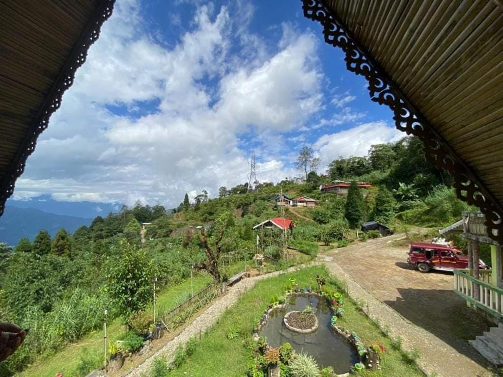 Spring Brooks * Darjeeling (West Bengal)