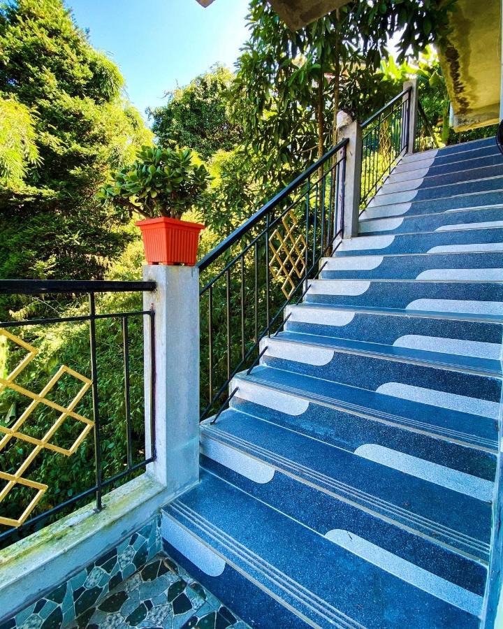 Syangden Villa, Nagbeli Bed & Breakfast