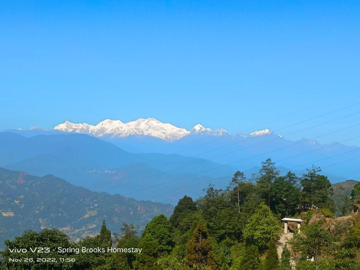 Spring Brooks Homestay Darjeeling (West Bengal)