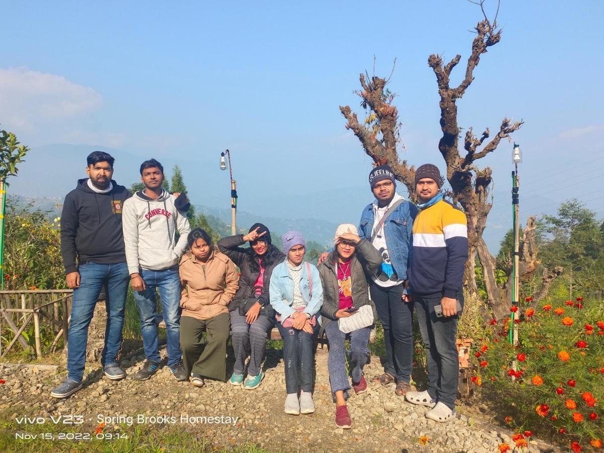 Spring Brooks Homestay