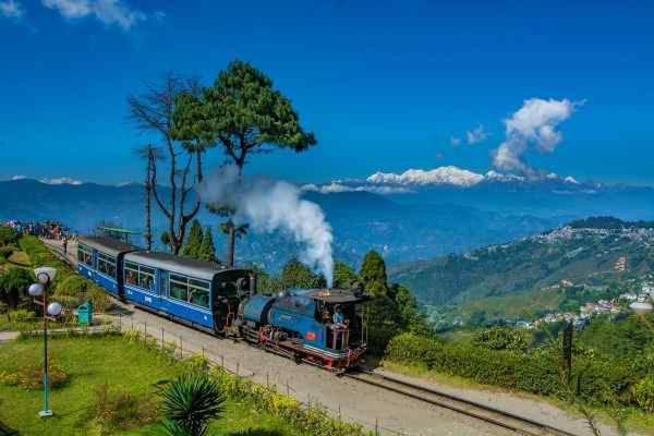 Yuma D * Darjeeling (West Bengal)
