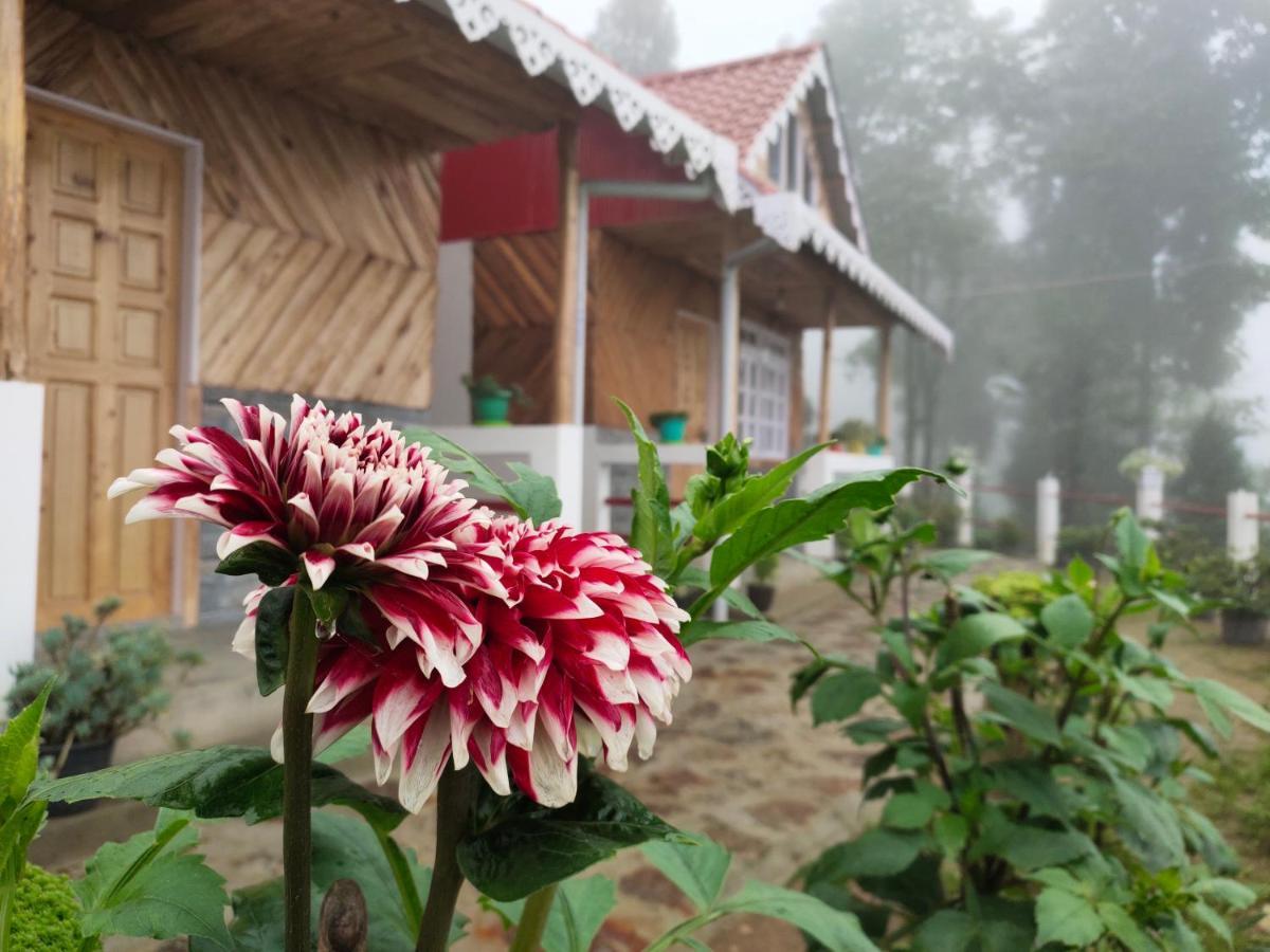Homestay Boho Homestay, Rangbhang *