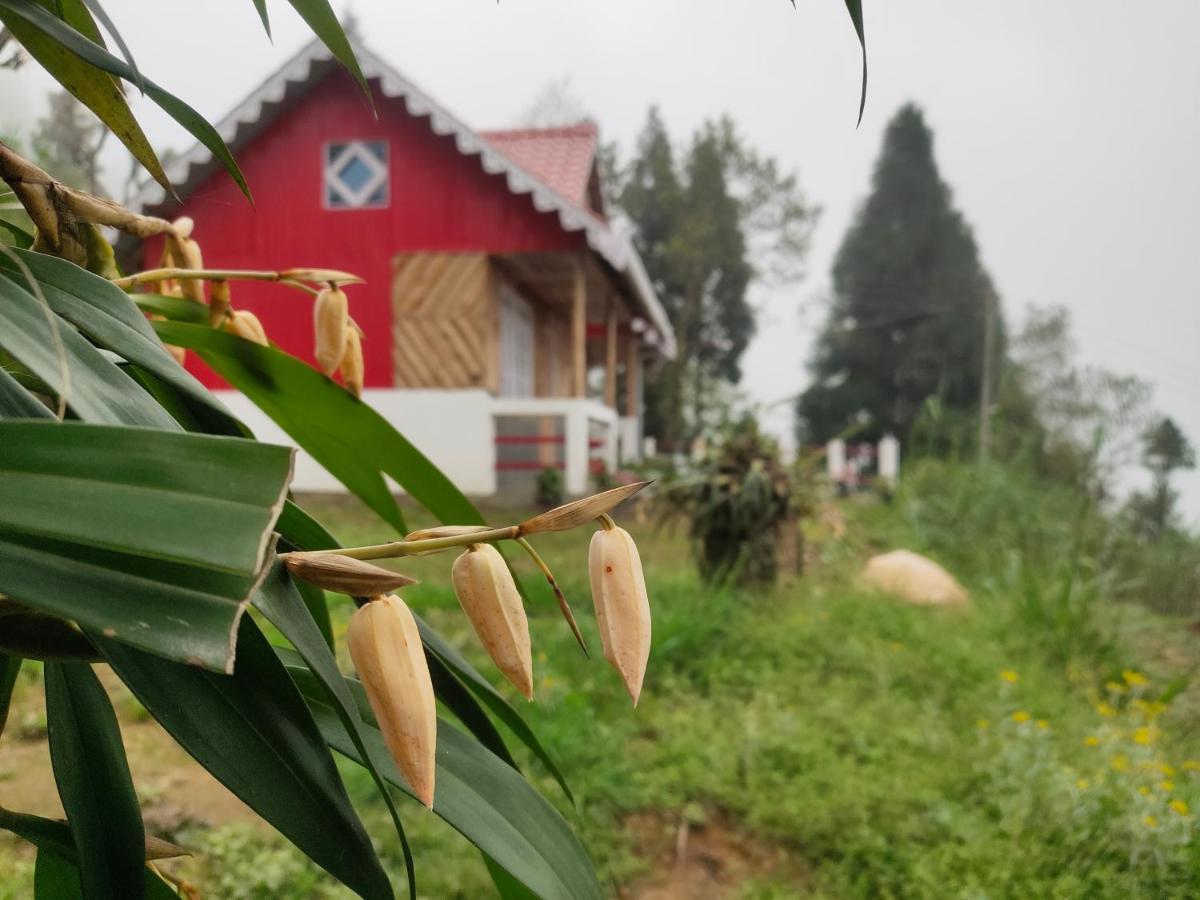 Homestay Boho Homestay, Rangbhang *