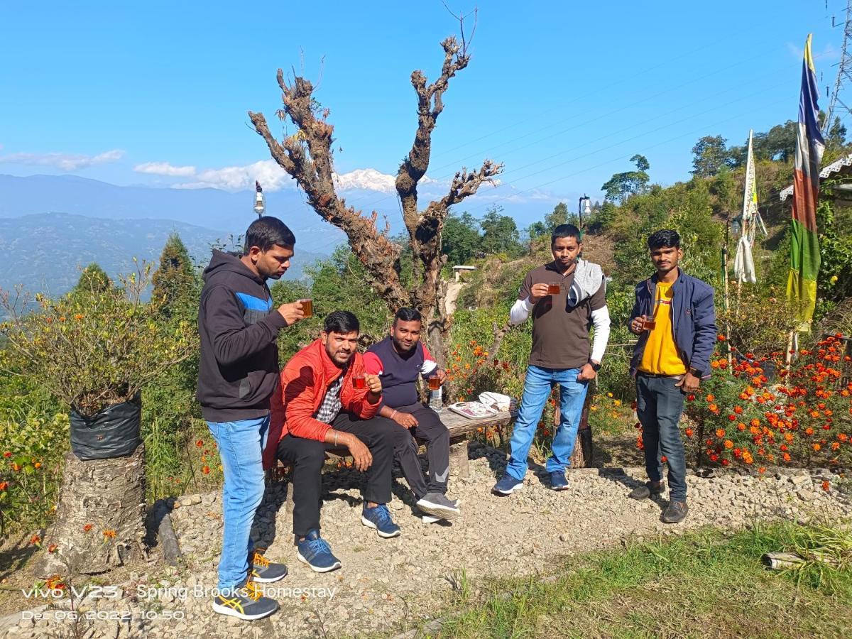 Homestay Spring Brooks Darjeeling (West Bengal)