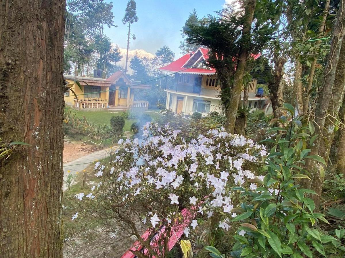Bloomfield And Eco-resort Homestay