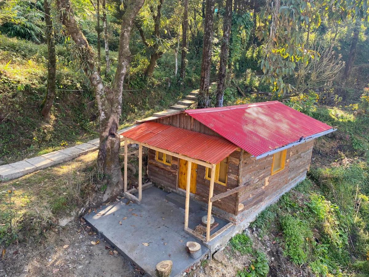 Homestay Bloomfield And Eco-resort