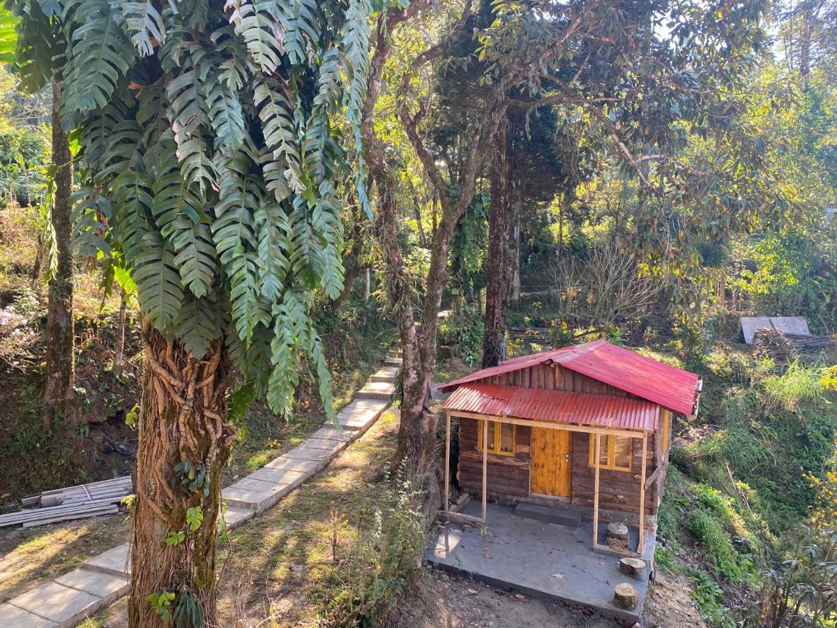Bloomfield And Eco-resort * Darjeeling (West Bengal)