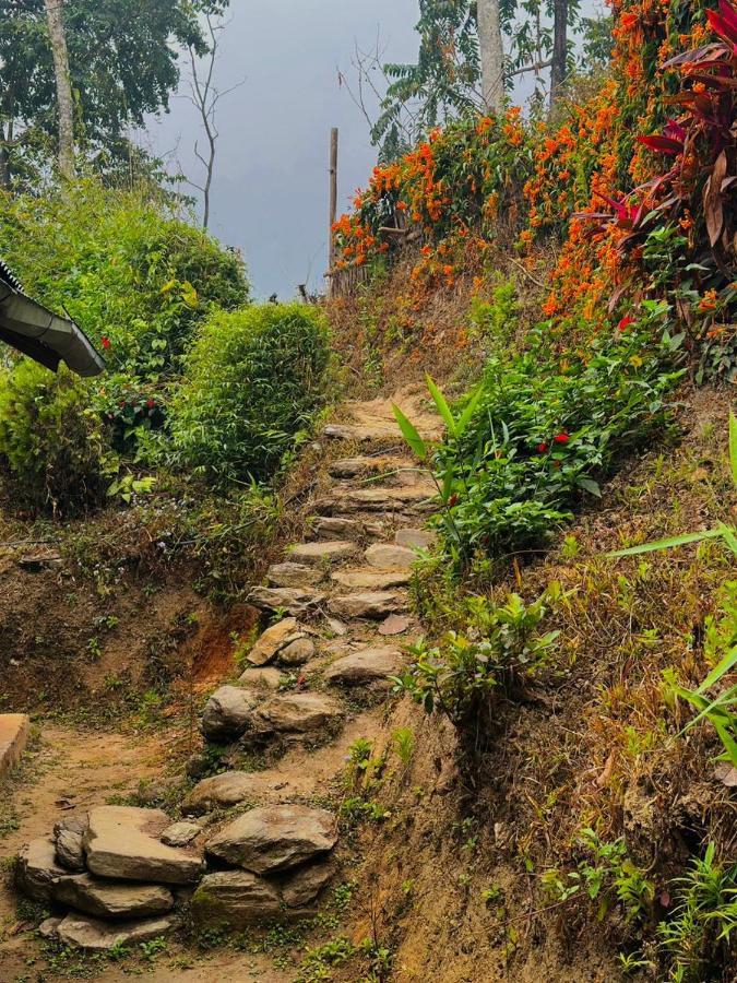 Eviana Homestay * Darjeeling (West Bengal)