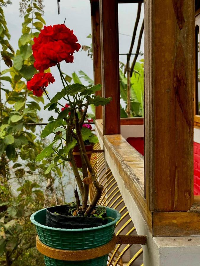 Homestay Eviana Homestay Darjeeling (West Bengal)