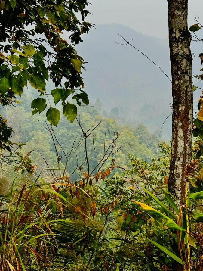 Eviana Homestay Homestay Darjeeling (West Bengal)