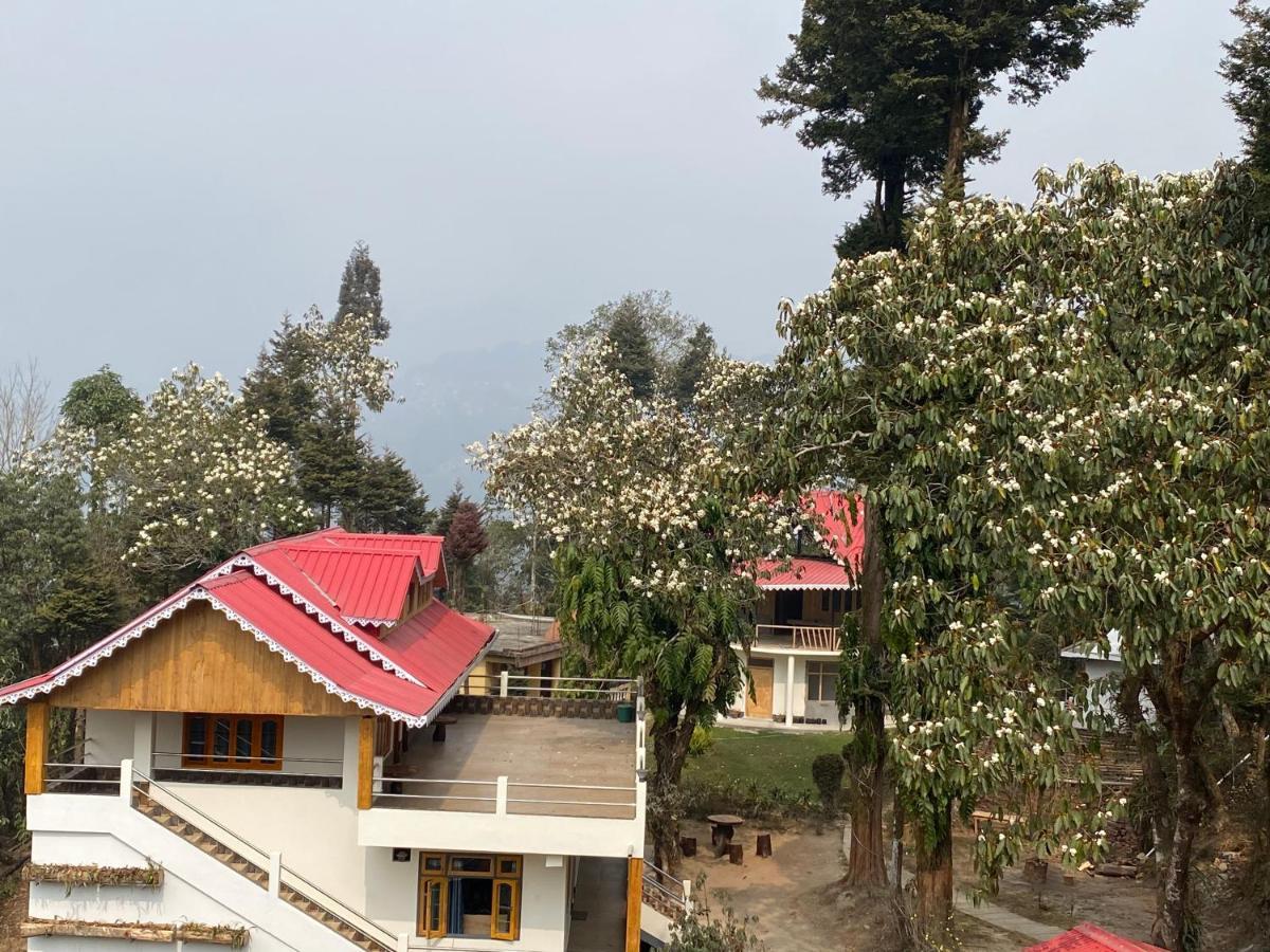 Homestay Bloomfield And Eco-resort