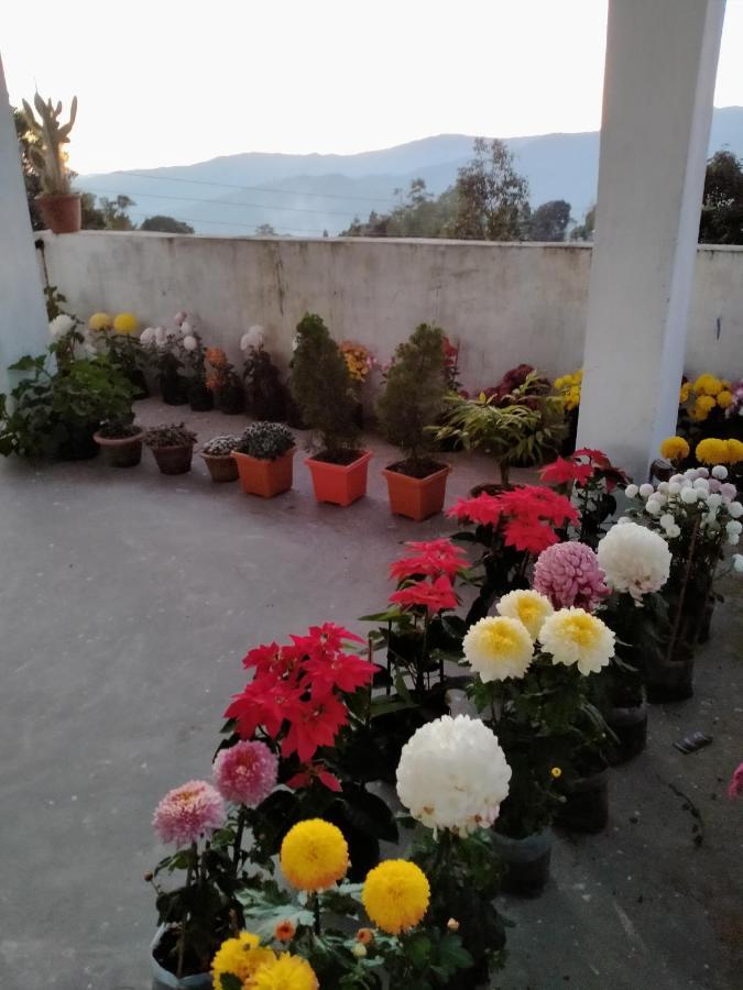 Ajit Homestay, Darjeeling