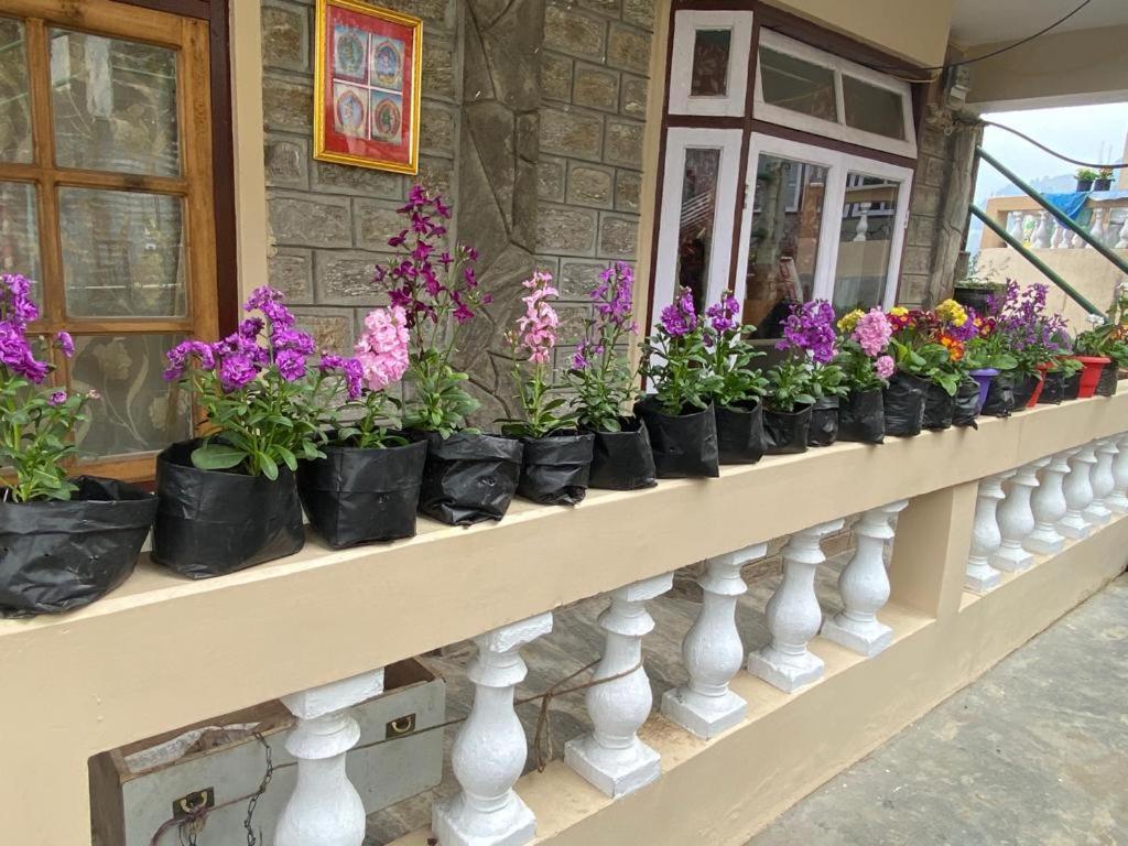 Vamoose Mendo Lamu Homestay