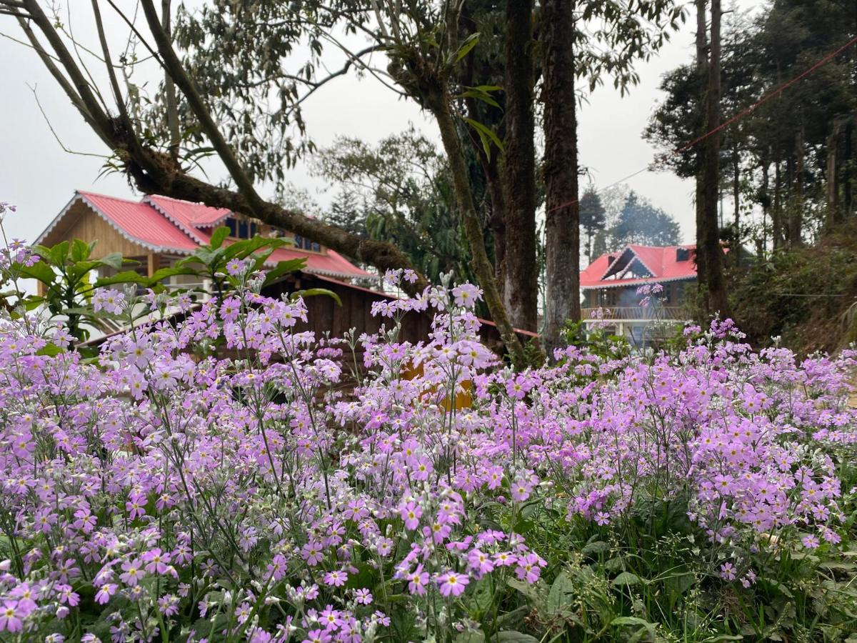 Homestay Bloomfield And Eco-resort *