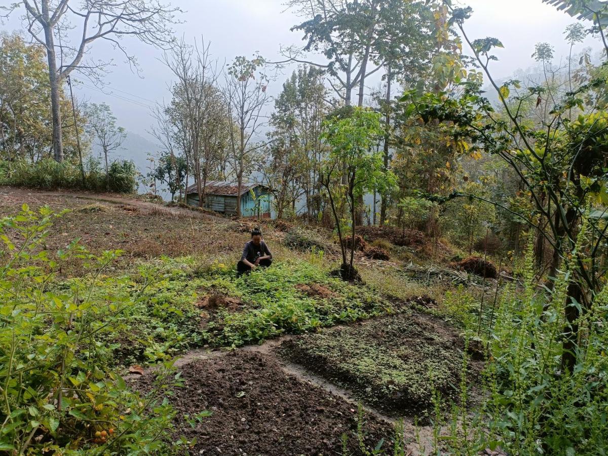 Live In Nature Darjeeling (West Bengal)