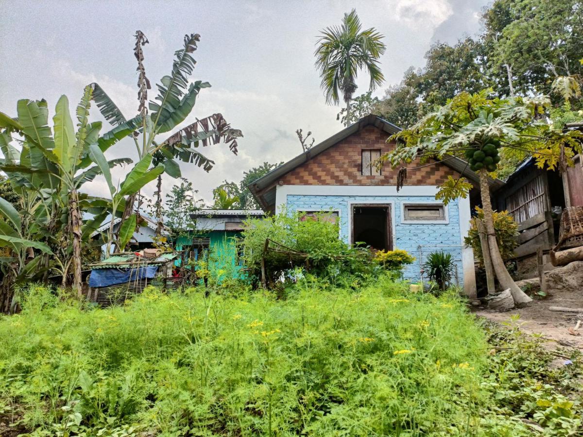 Live In Nature Country house Darjeeling (West Bengal)