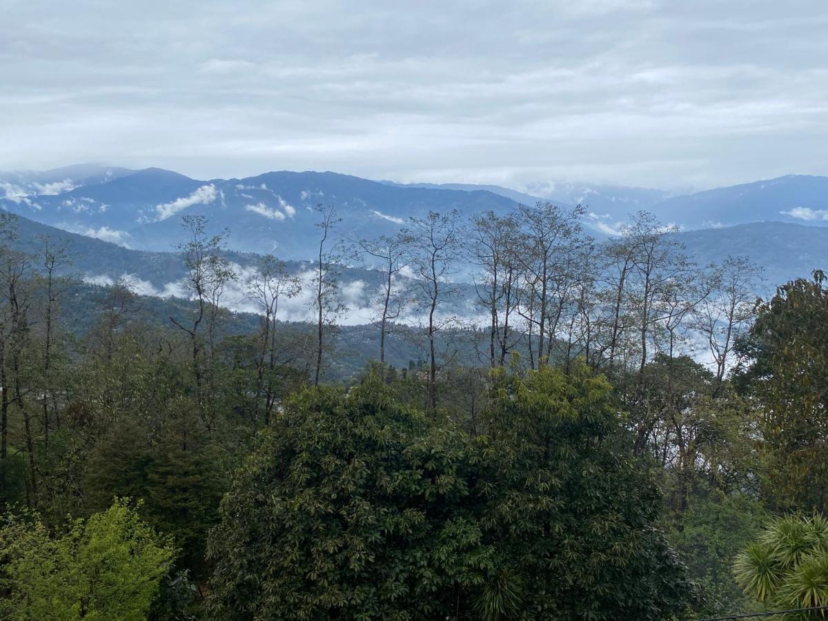Bloomfield And Eco-resort * Darjeeling (West Bengal)
