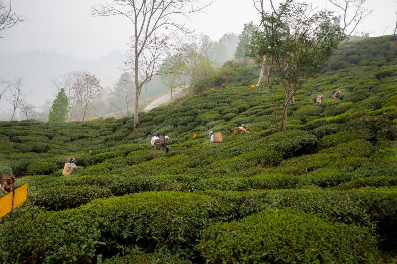 Villa Ama & Trails Puttabong Cottage, Darjeeling Darjeeling (West Bengal)