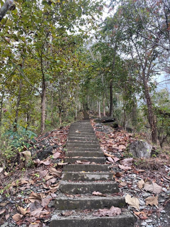 Live In Nature * Darjeeling (West Bengal)