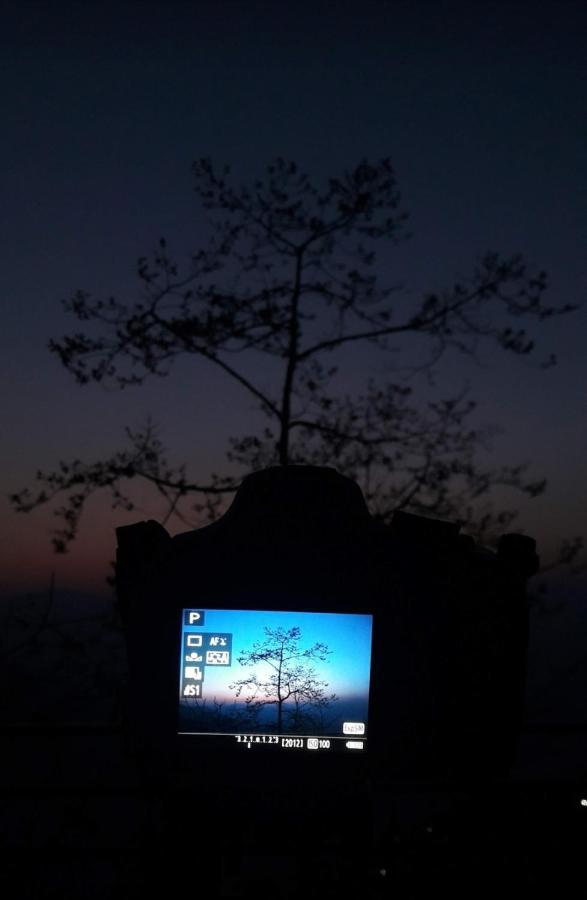 Tiger's Nest Homestay Homestay Darjeeling (West Bengal)