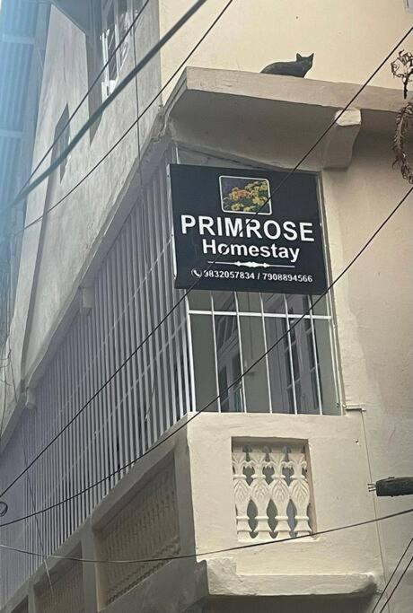 Primrose * Darjeeling (West Bengal)