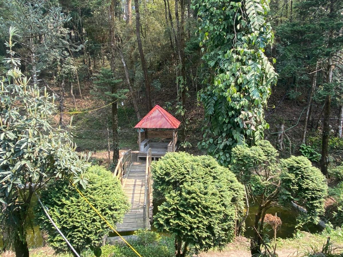 Bloomfield And Eco-resort Homestay