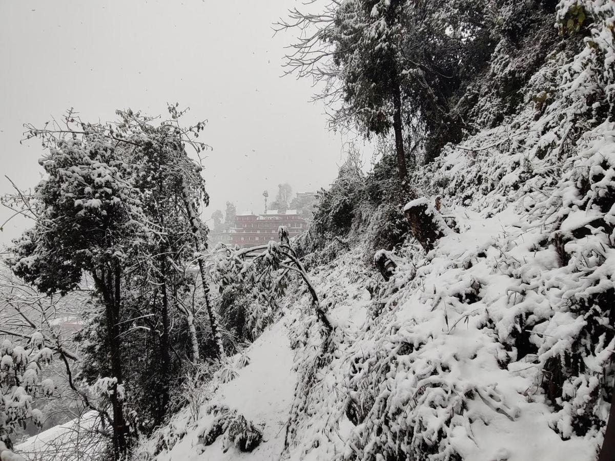 Homestay Tiger's Nest Homestay *