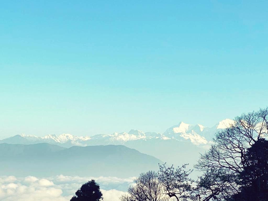 Mamta Homestay