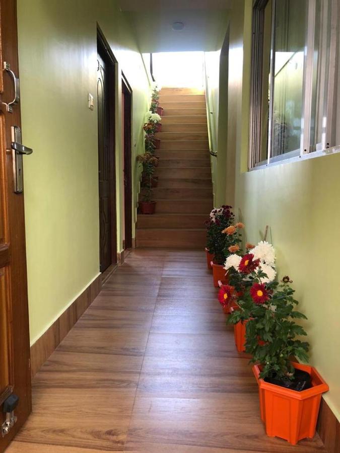 Homestay Laskus