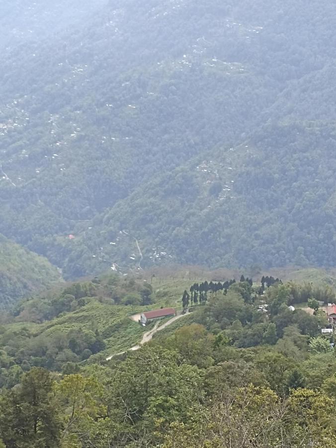 Bastola * Darjeeling (West Bengal)