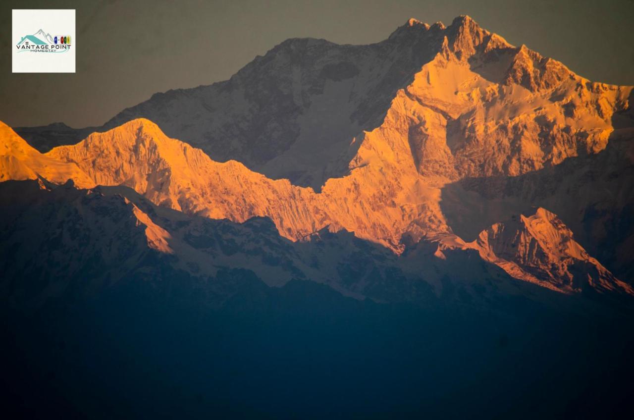 Vantage Point * Darjeeling (West Bengal)